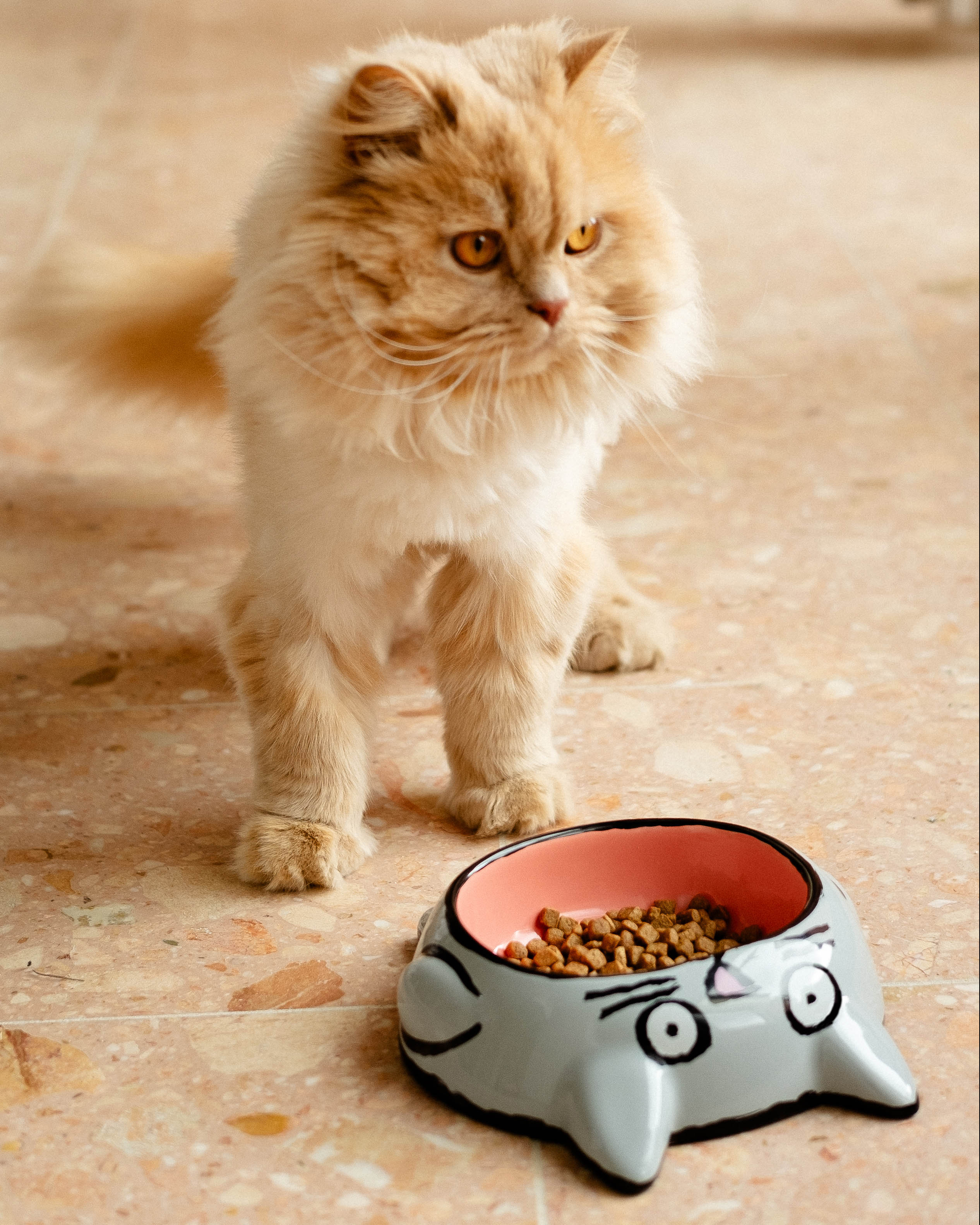 Jean Jullien Bowl 'CAT'