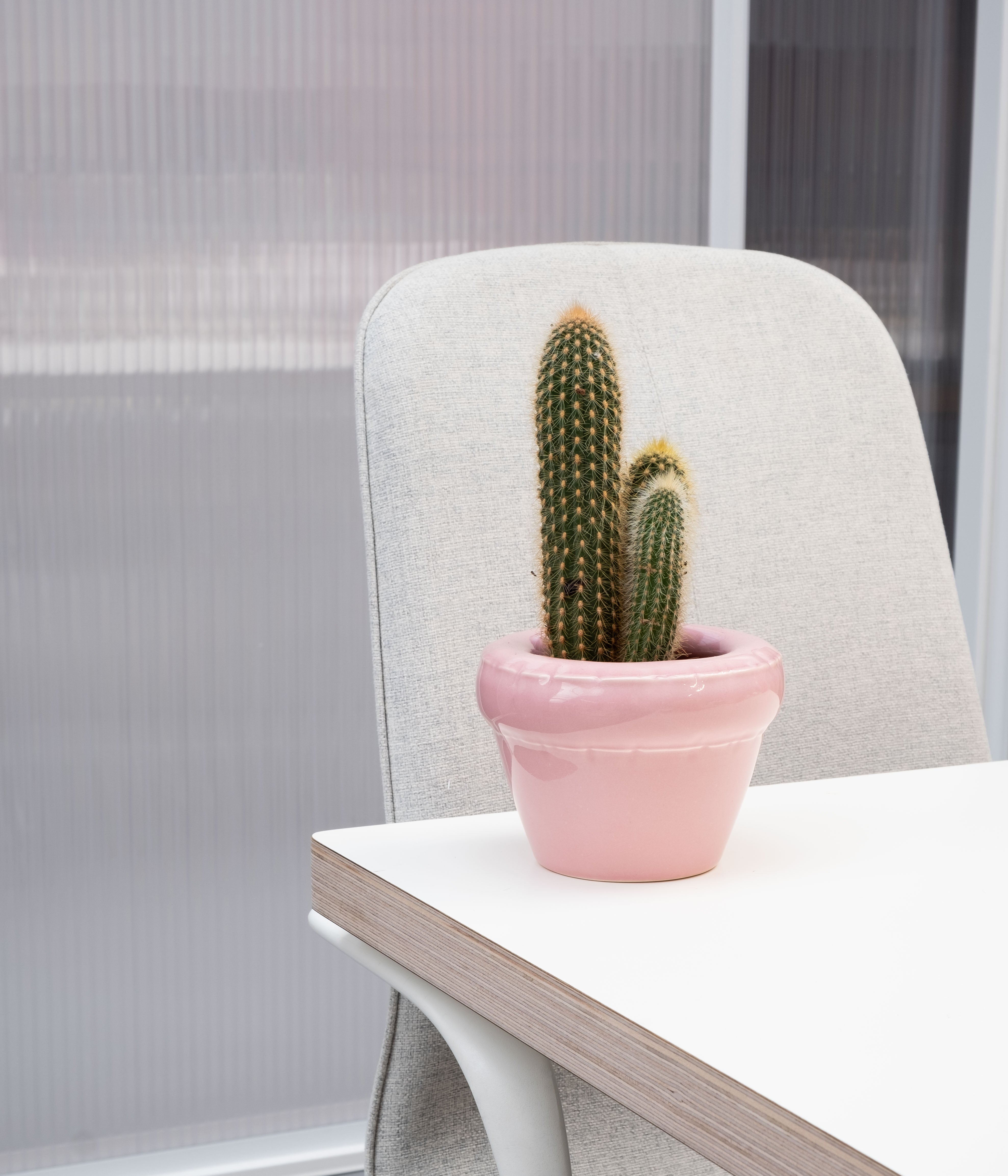 Small Planter 'LOUIS' Gloss - Bubblegum