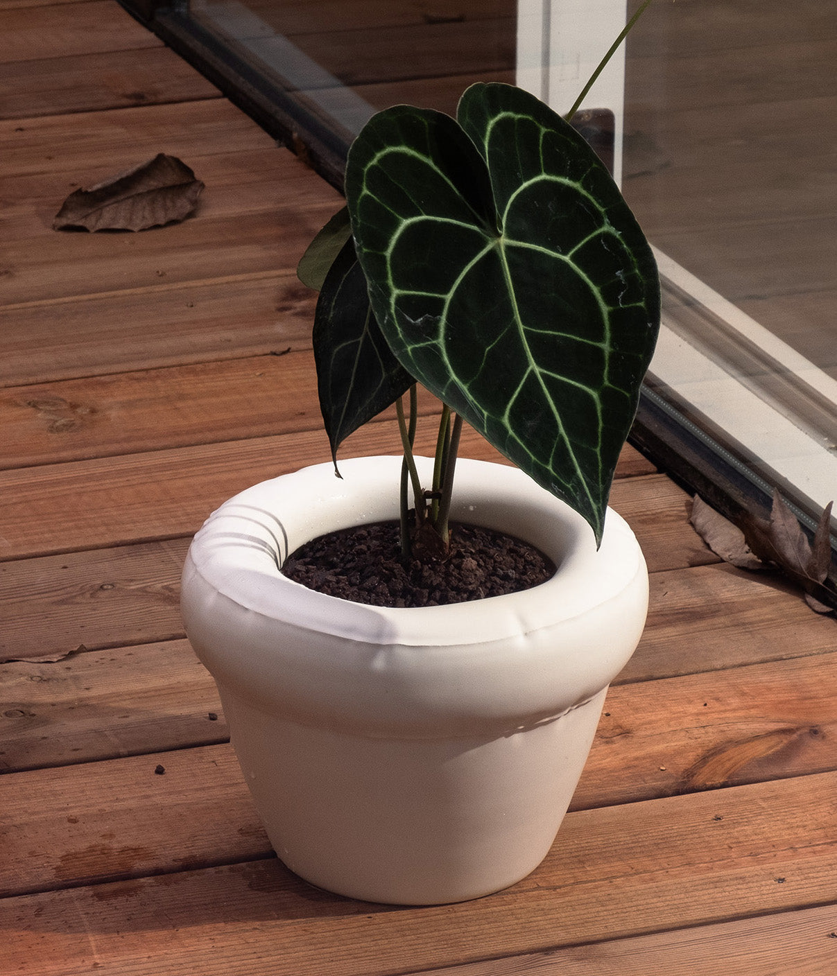 Planter 'PIERRE' Matte - Moss