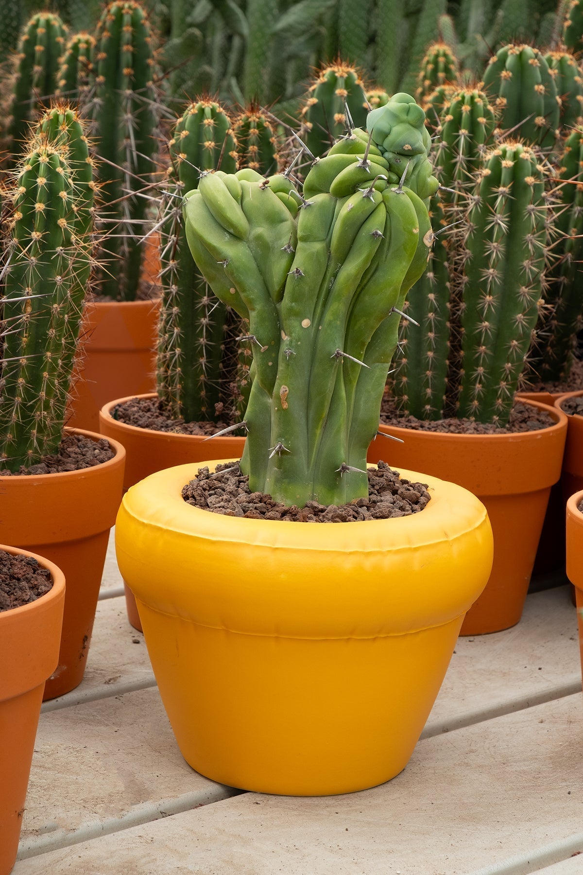 Planter 'PIERRE' Matte - Bone